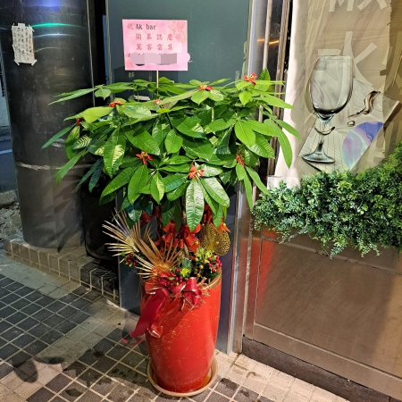 F047開幕盆栽祝賀盆栽花獻幸福花坊